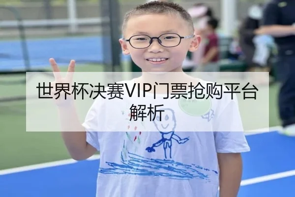 世界杯决赛VIP门票抢购平台解析