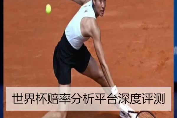 世界杯赔率分析平台深度评测