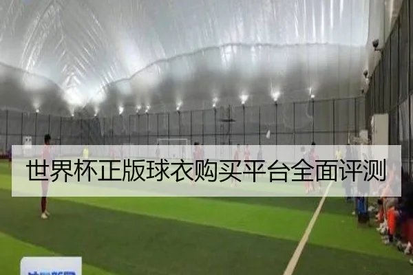世界杯正版球衣购买平台全面评测
