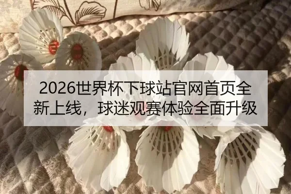 2026世界杯下球站官网首页全新上线，球迷观赛体验全面升级