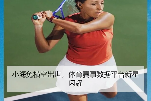 小海兔横空出世，体育赛事数据平台新星闪耀