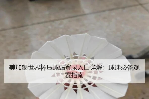 美加墨世界杯压球站登录入口详解：球迷必备观赛指南