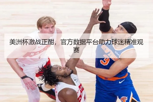 美洲杯激战正酣，官方数据平台助力球迷精准观赛